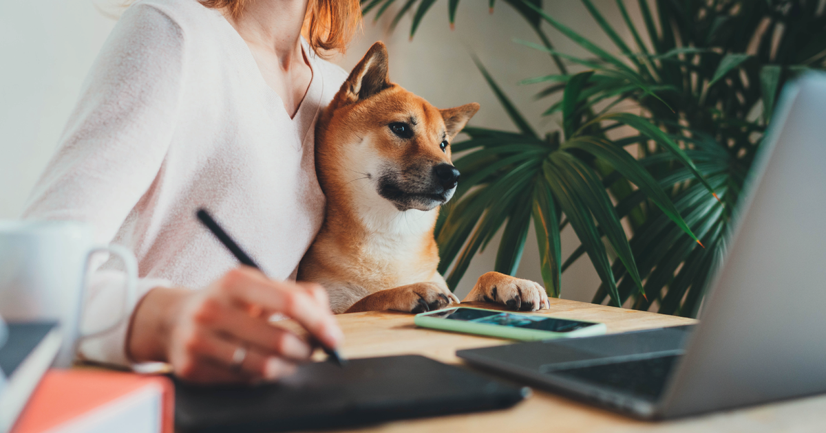 The pros and cons of having pets in the workplace