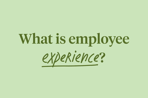 What is employee experience?