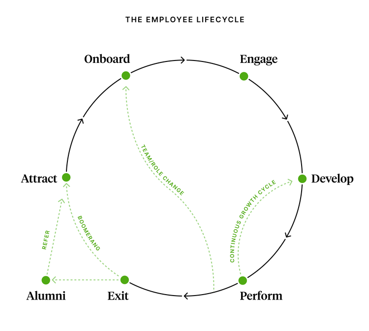 The employee lifecycle