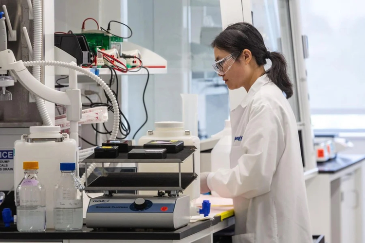 Woman working in Blueprint Medicines lab