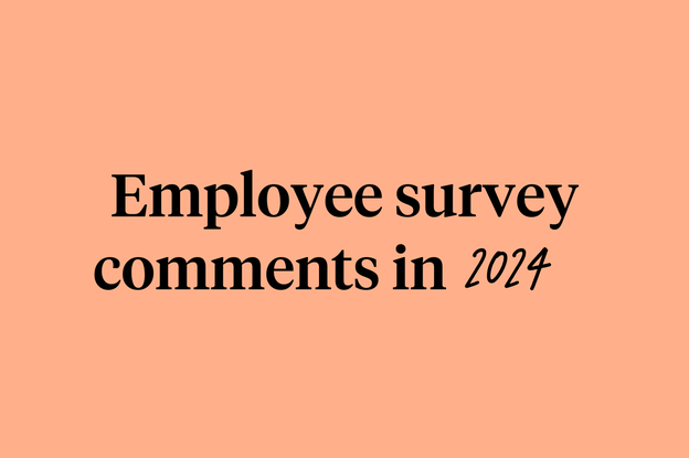 Employee survey comments in 2024