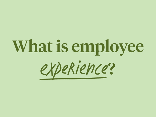 What is employee experience?