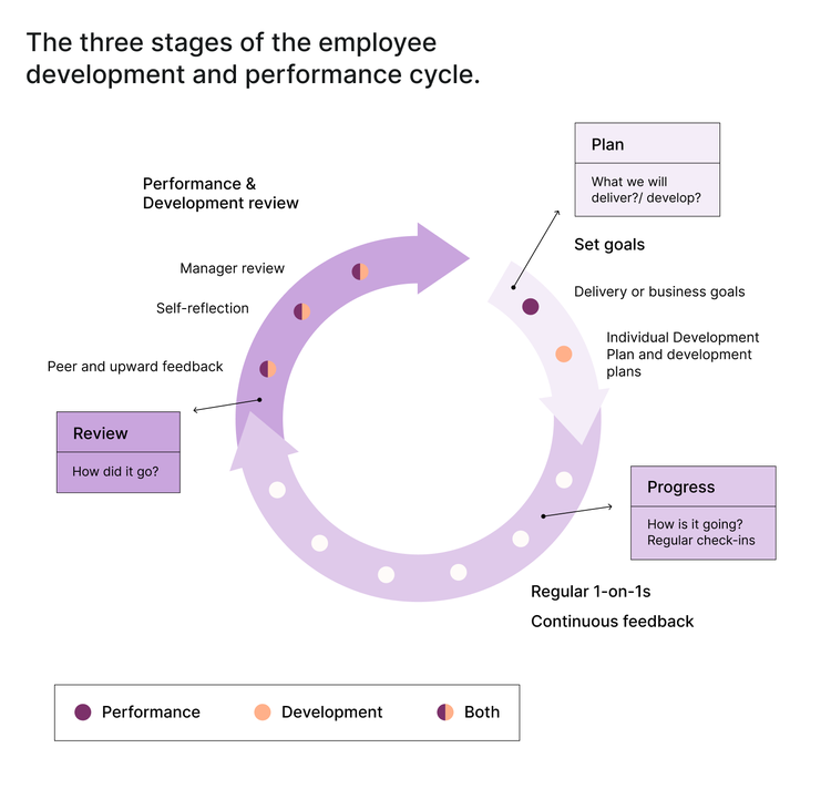 The three stages of the employee development cycle