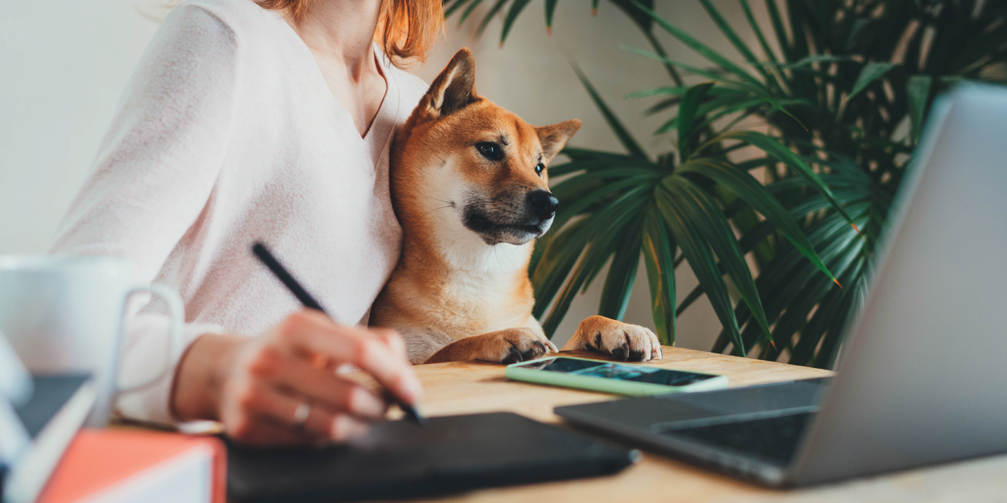 Woman with pet in the workplace