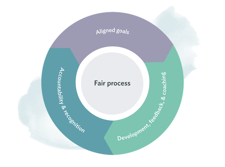 The performance management cycle