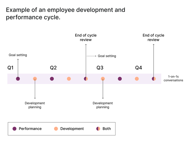 Example of an employee development and performance cycle