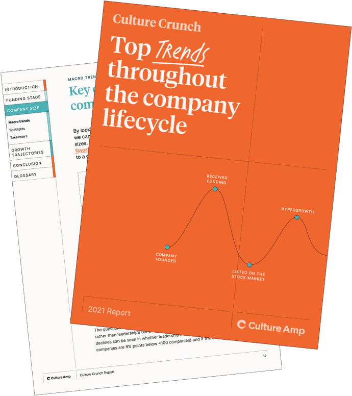 Culture Crunch Report