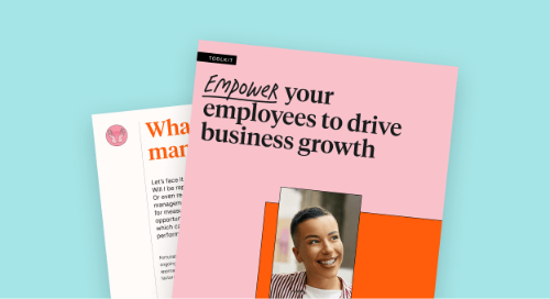 pink high performance ebook cover on blue background