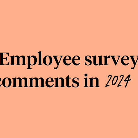 Employee survey comments in 2024