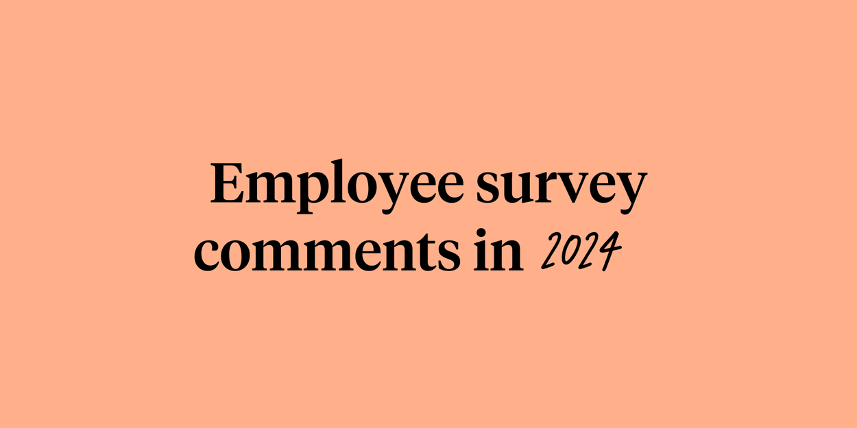 Employee survey comments in 2024